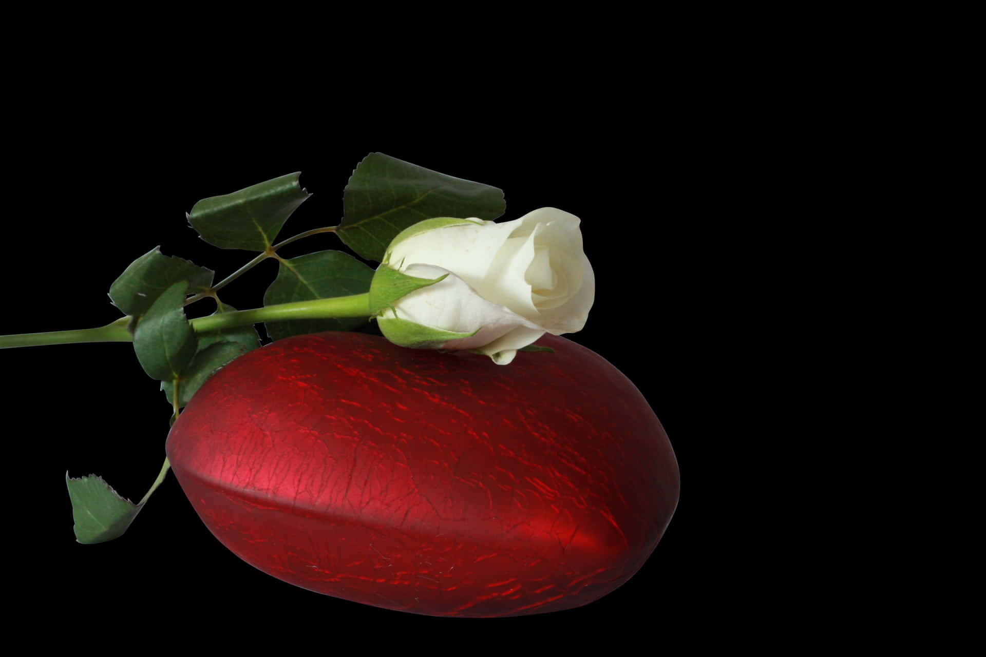 White Roseon Red Heart Stone PNG