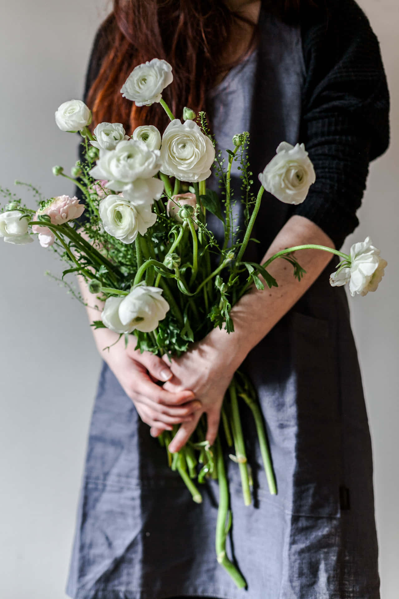 Portrait White Roses Holding By A Person Background