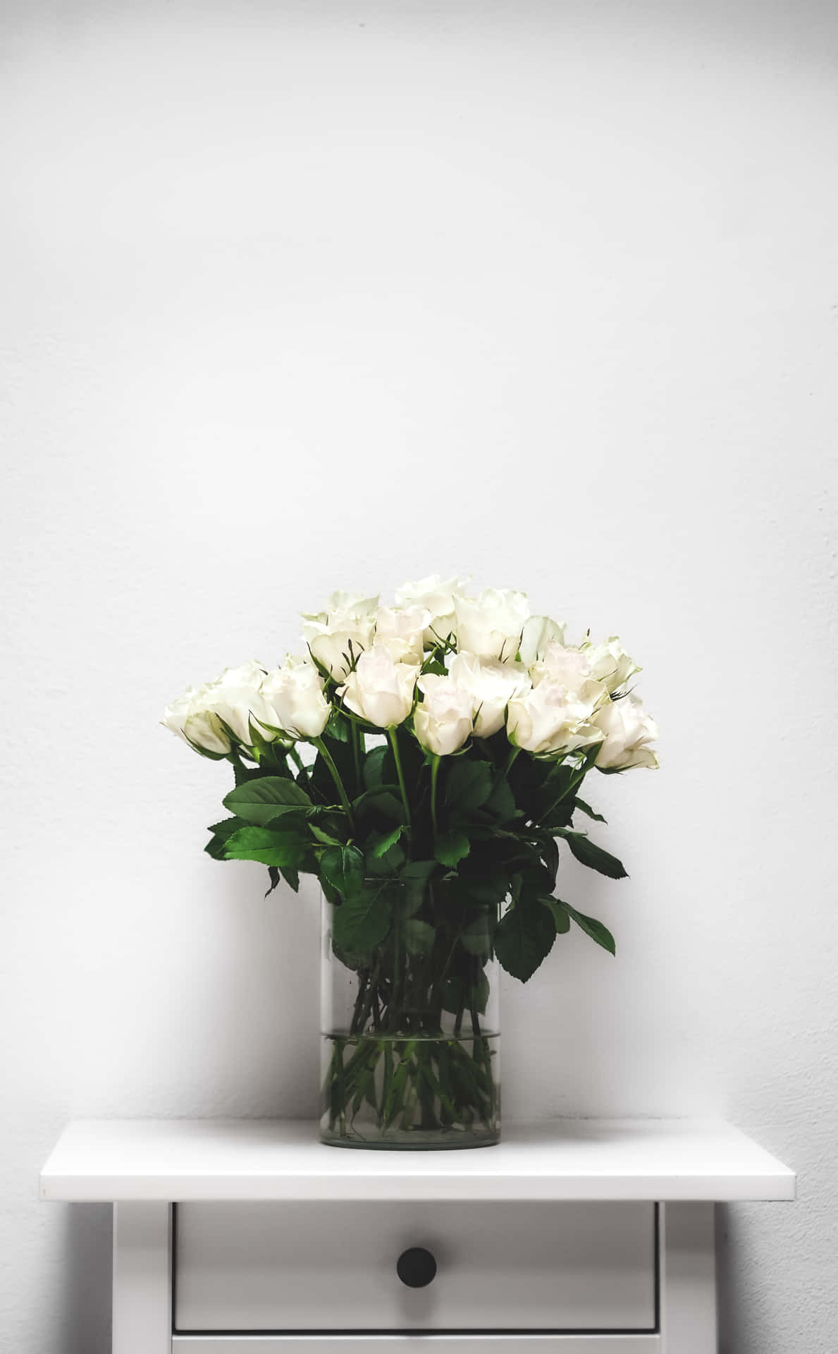Fondode Pantalla Con Un Jarrón De Flores Blancas De Rosas En Un Gabinete De Retrato.