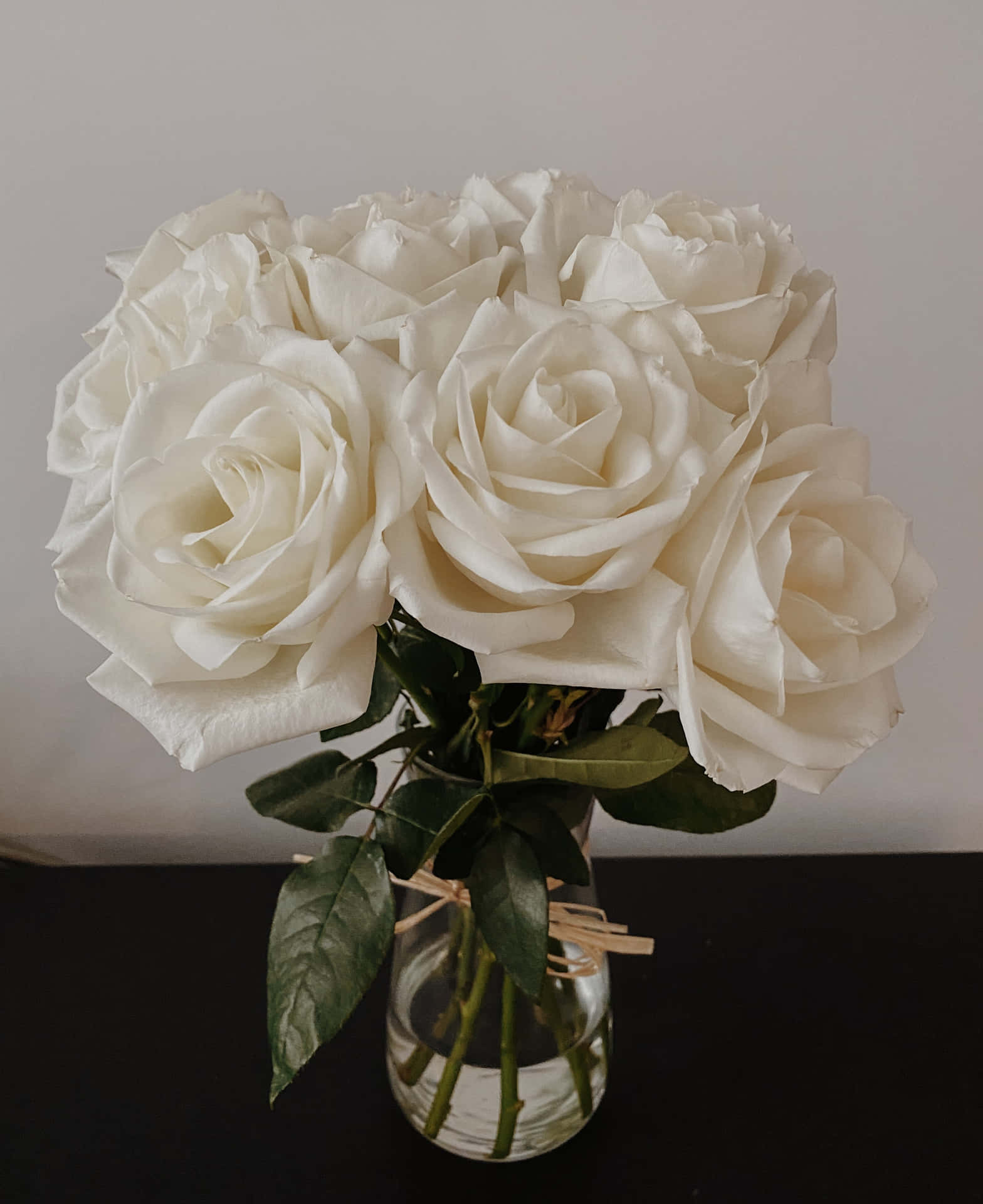 Capivating Allure of White Roses