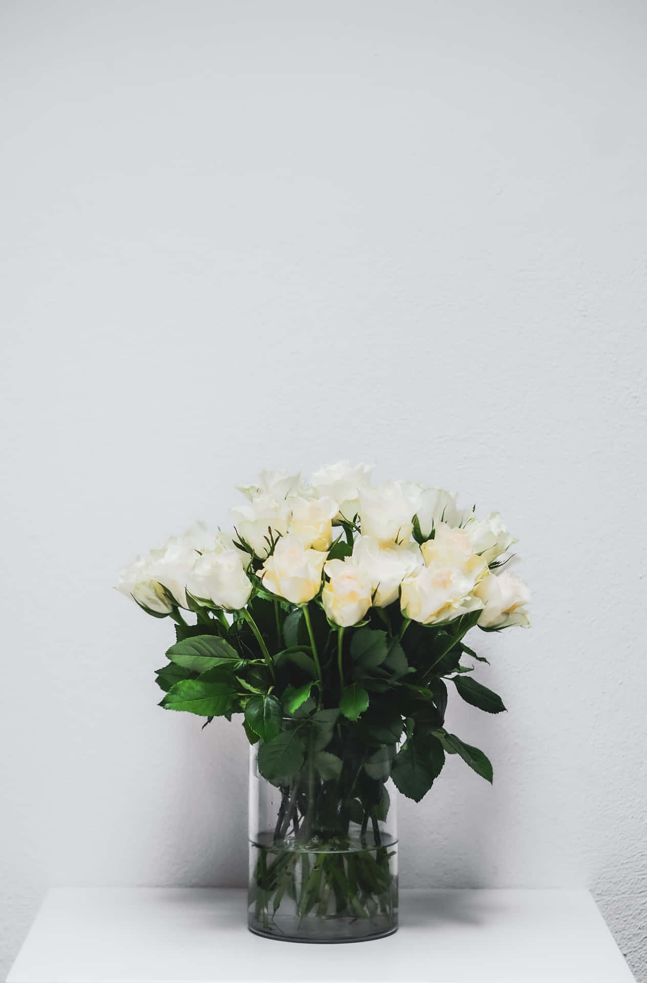 Portrait Aesthetic White Table And White Roses Background