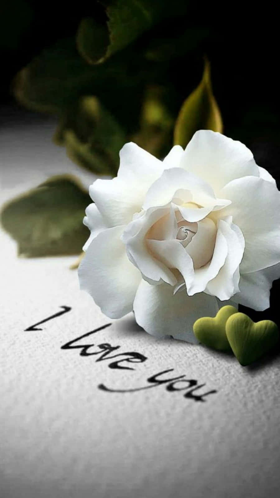White Roses Iphone I Love You Wallpaper