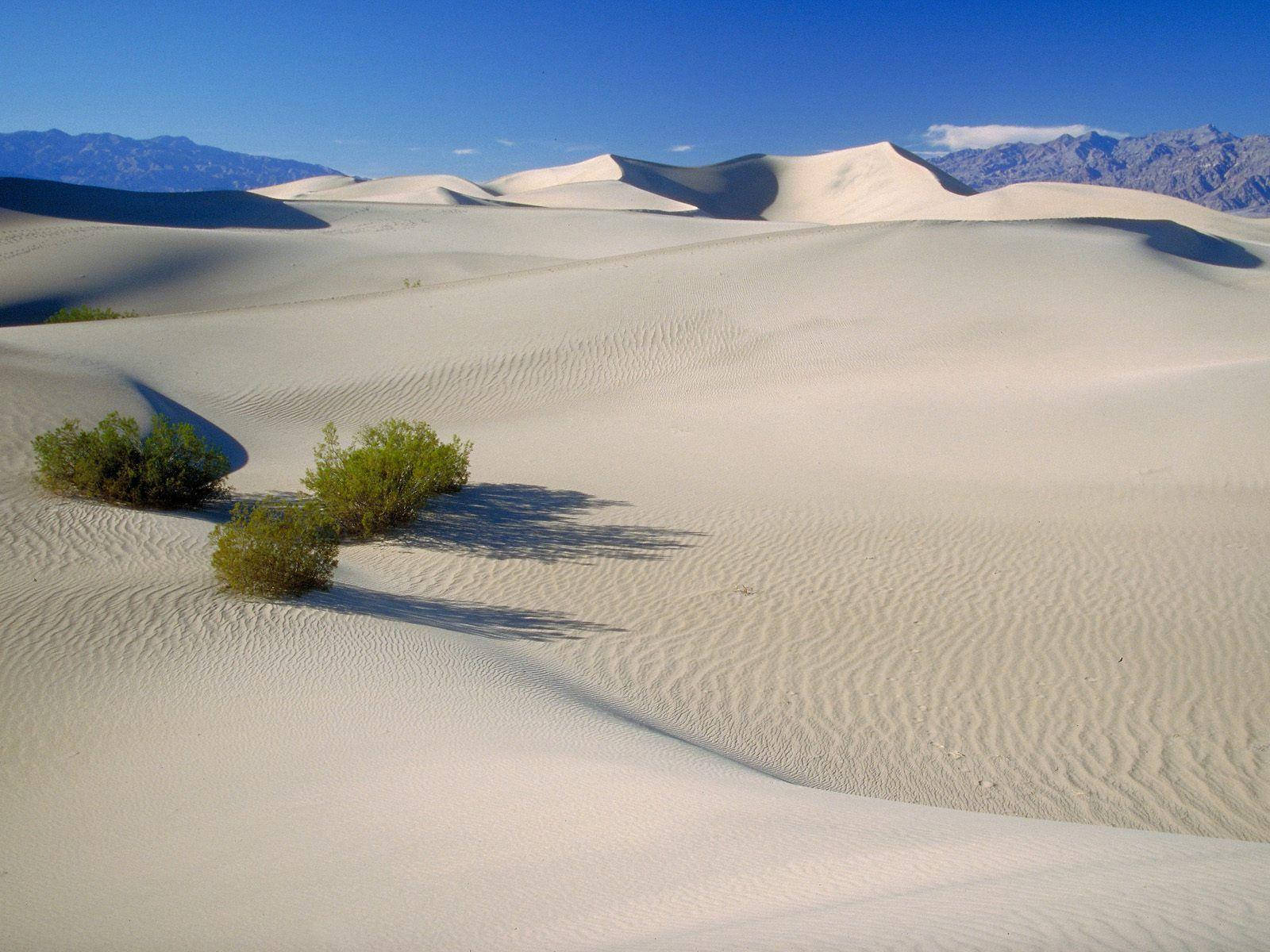 Dunedi Sabbia Bianca Nella Valle Della Morte Sfondo