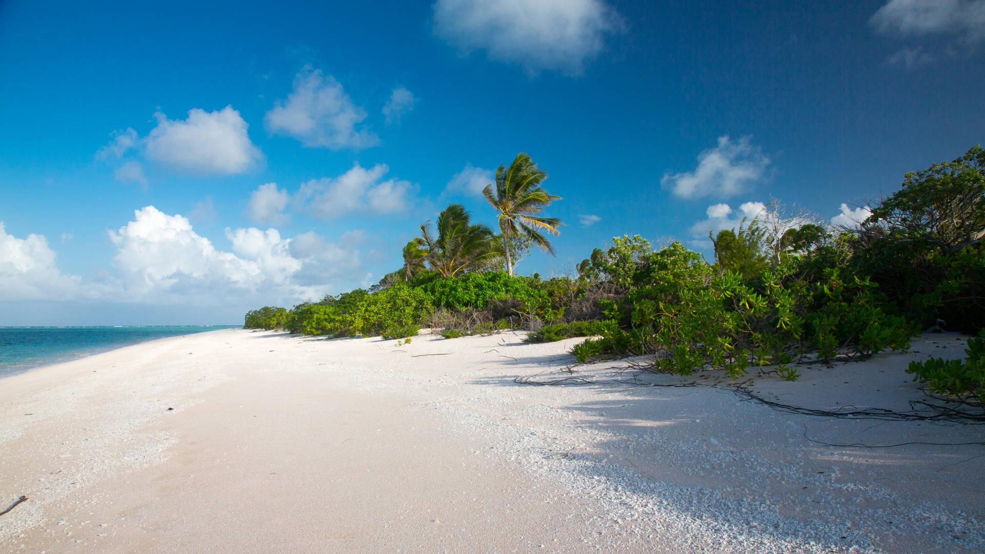 White Sandy Beach In Marshall Islands