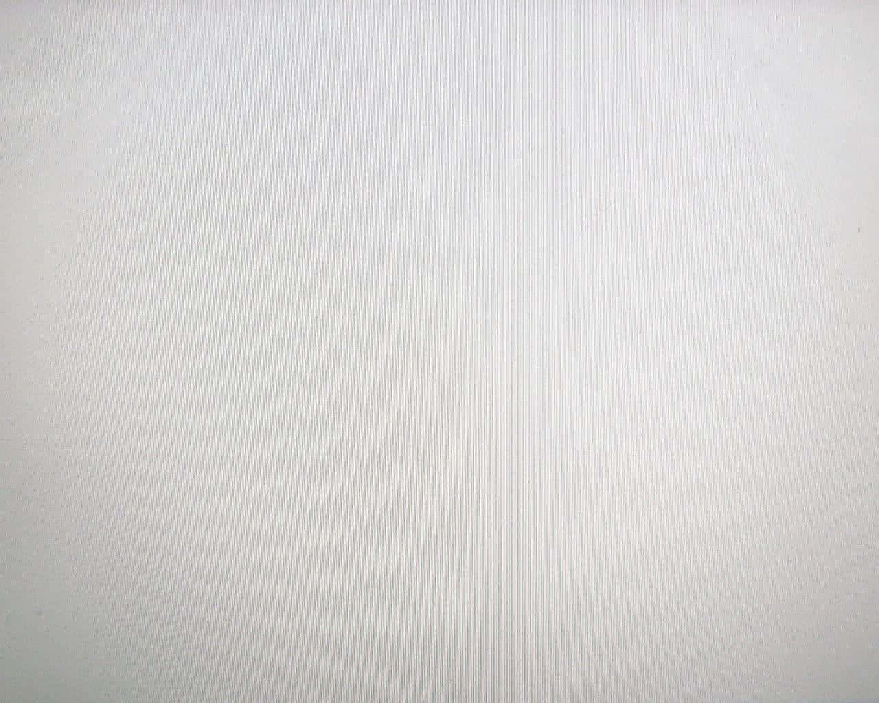 Minimalist White Screen Background