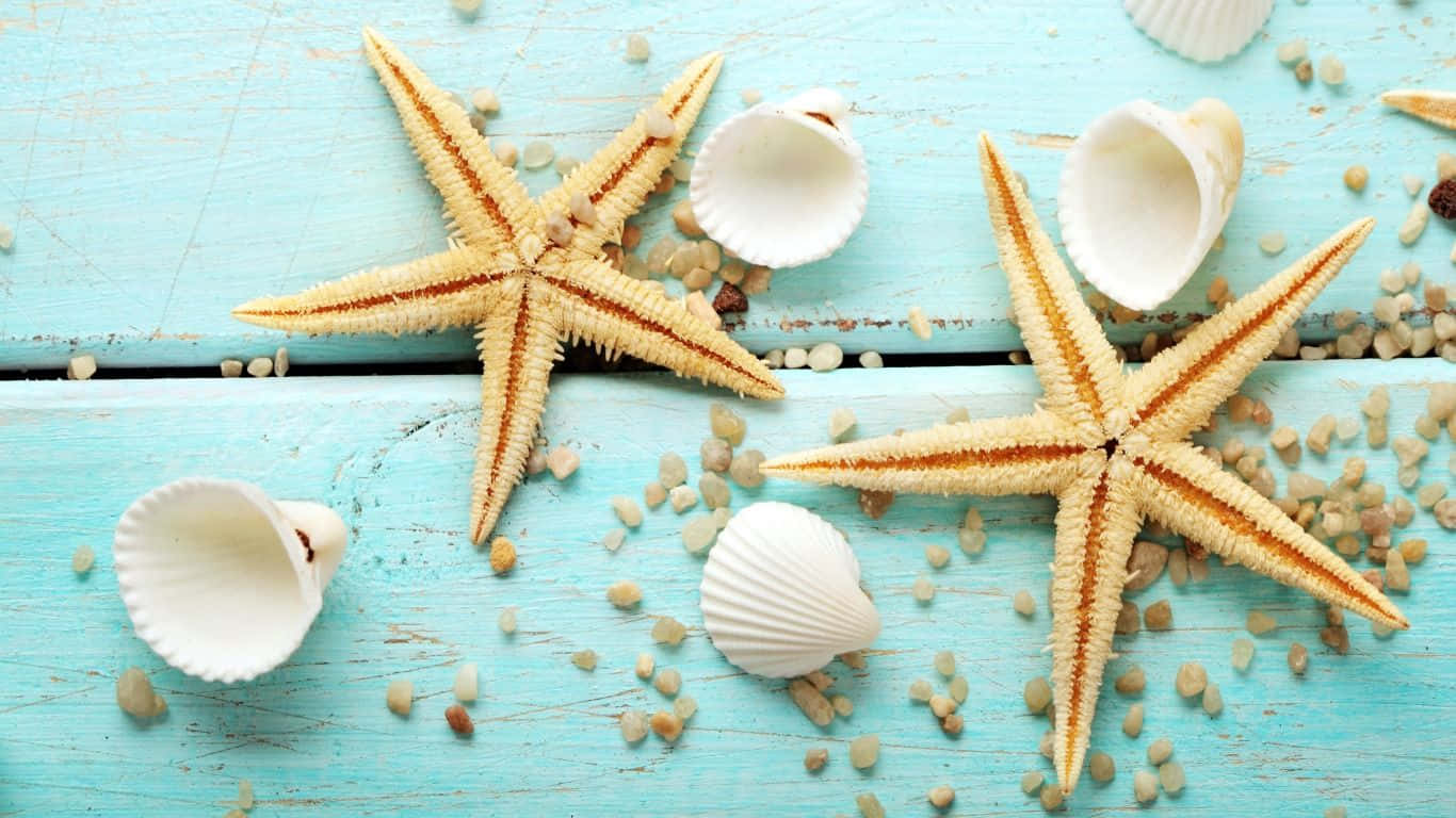 White Seashells And Yellow Starfishes Wallpaper