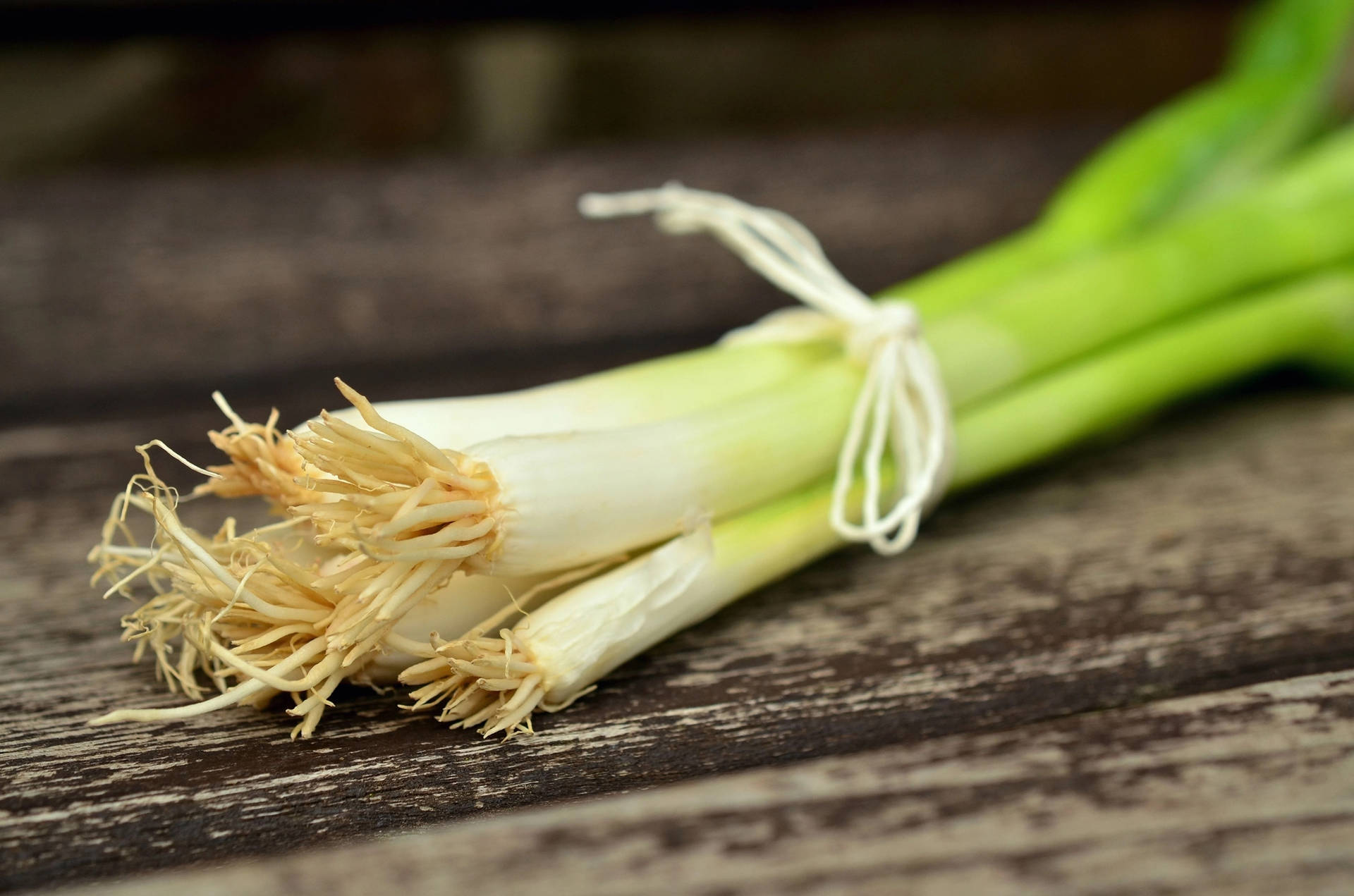 White Simple String Spring Onions Wallpaper
