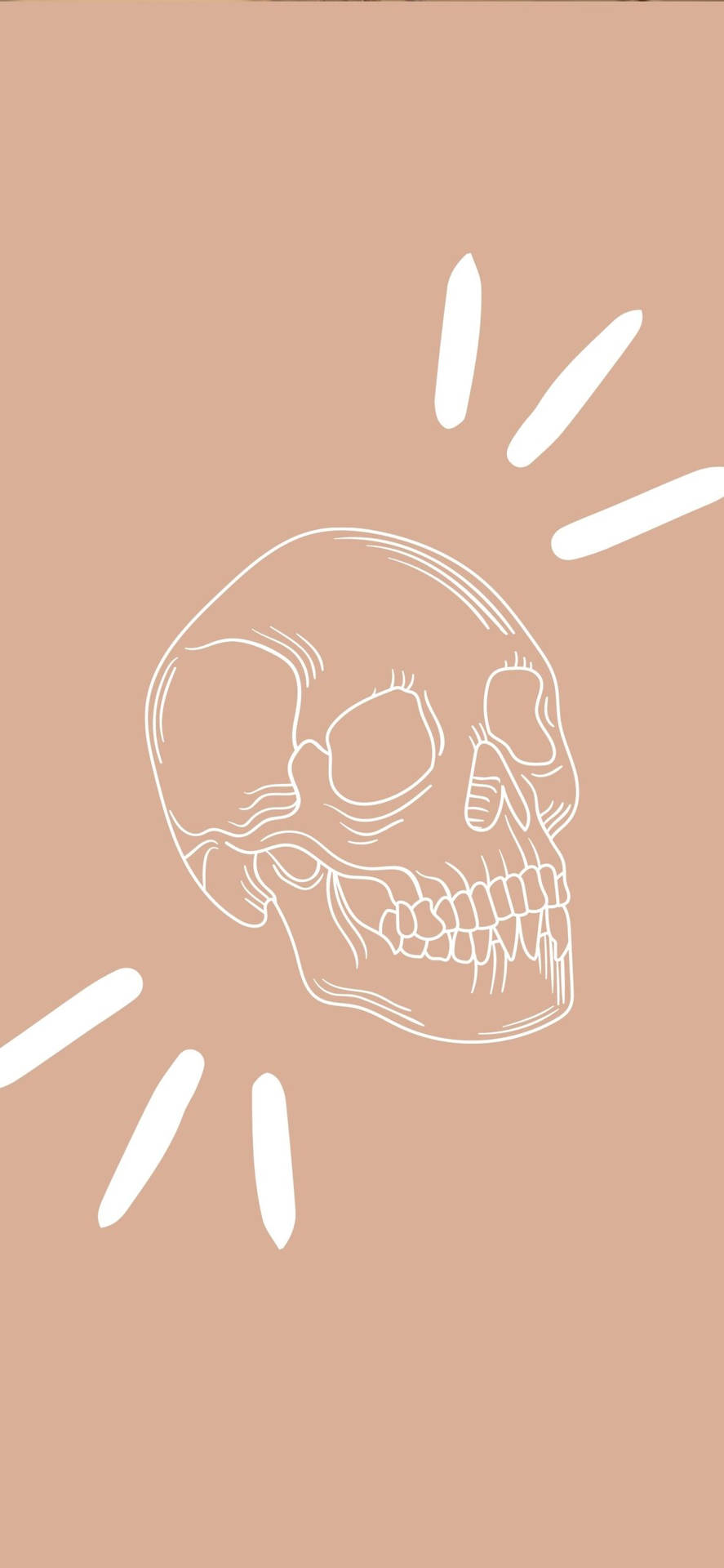 White Skull Beige Aesthetic Phone Background