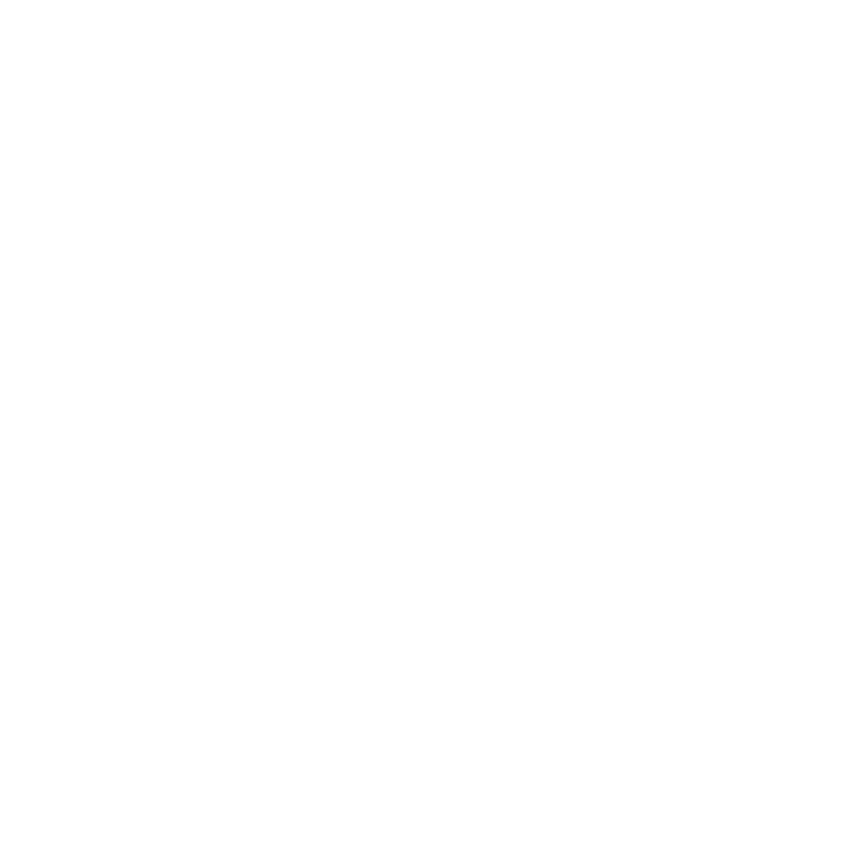 White Snapchat Logo Icon PNG