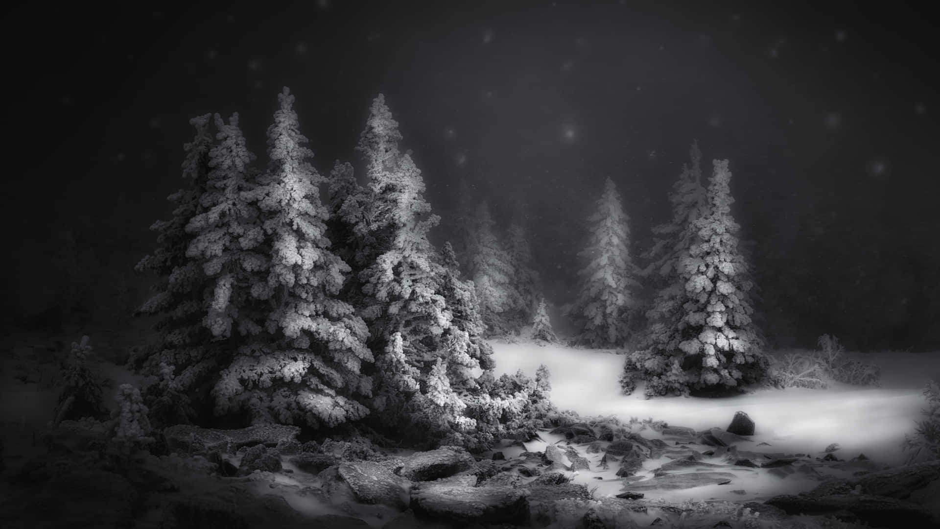 The Perfect Winter Wonderland