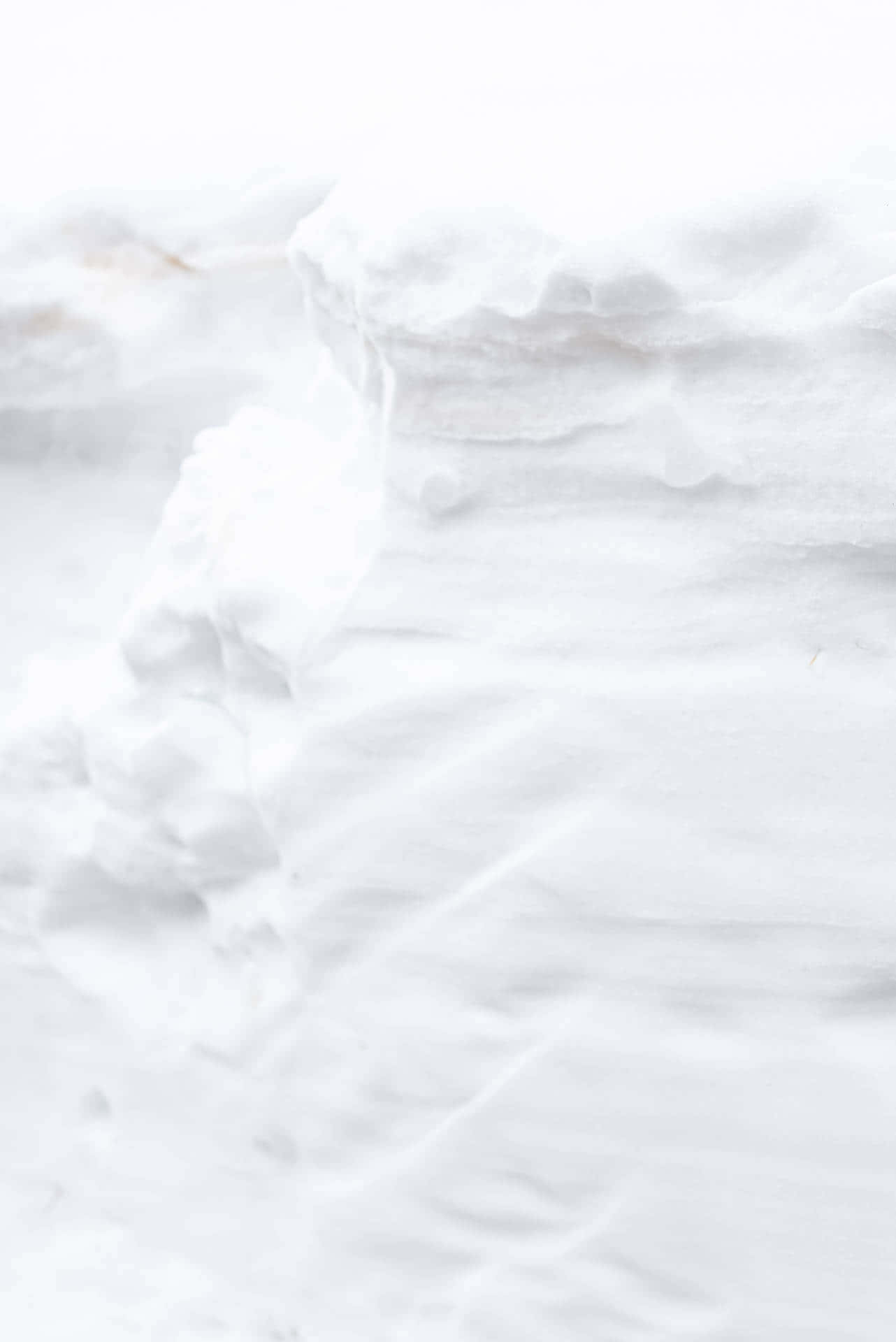 Un'immaginedi Una Tranquilla Coperta Di Neve Bianca Che Ricopre Un Campo Di Alberi.