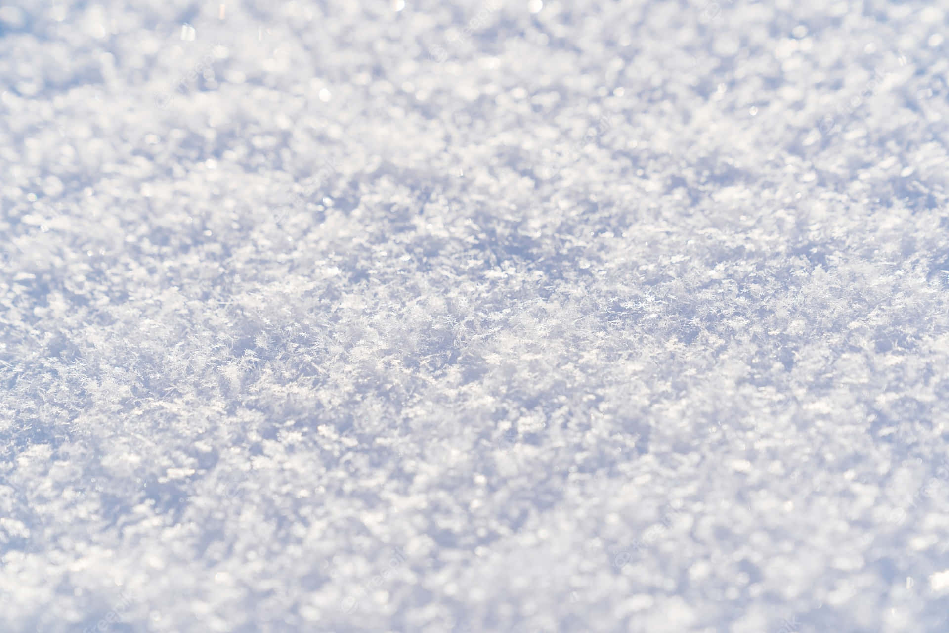 Unacoperta Di Neve Bianca Crea Una Pacifica Mattina D'inverno.