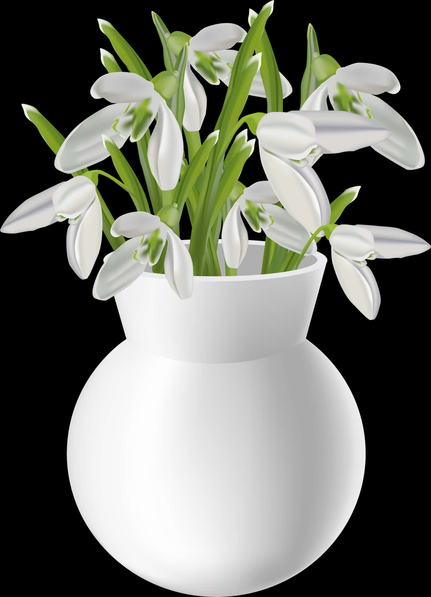 White Snowdropsin Vase Illustration PNG