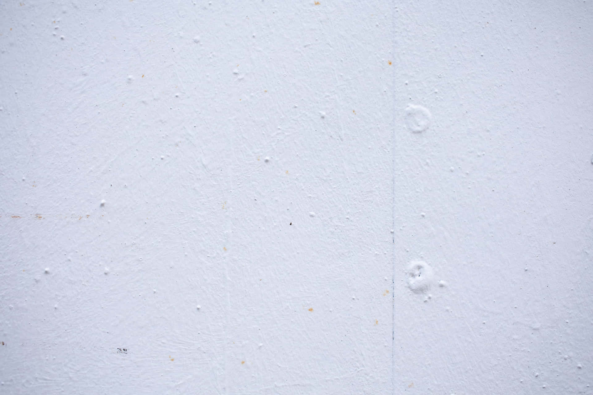 Pure white solid background.