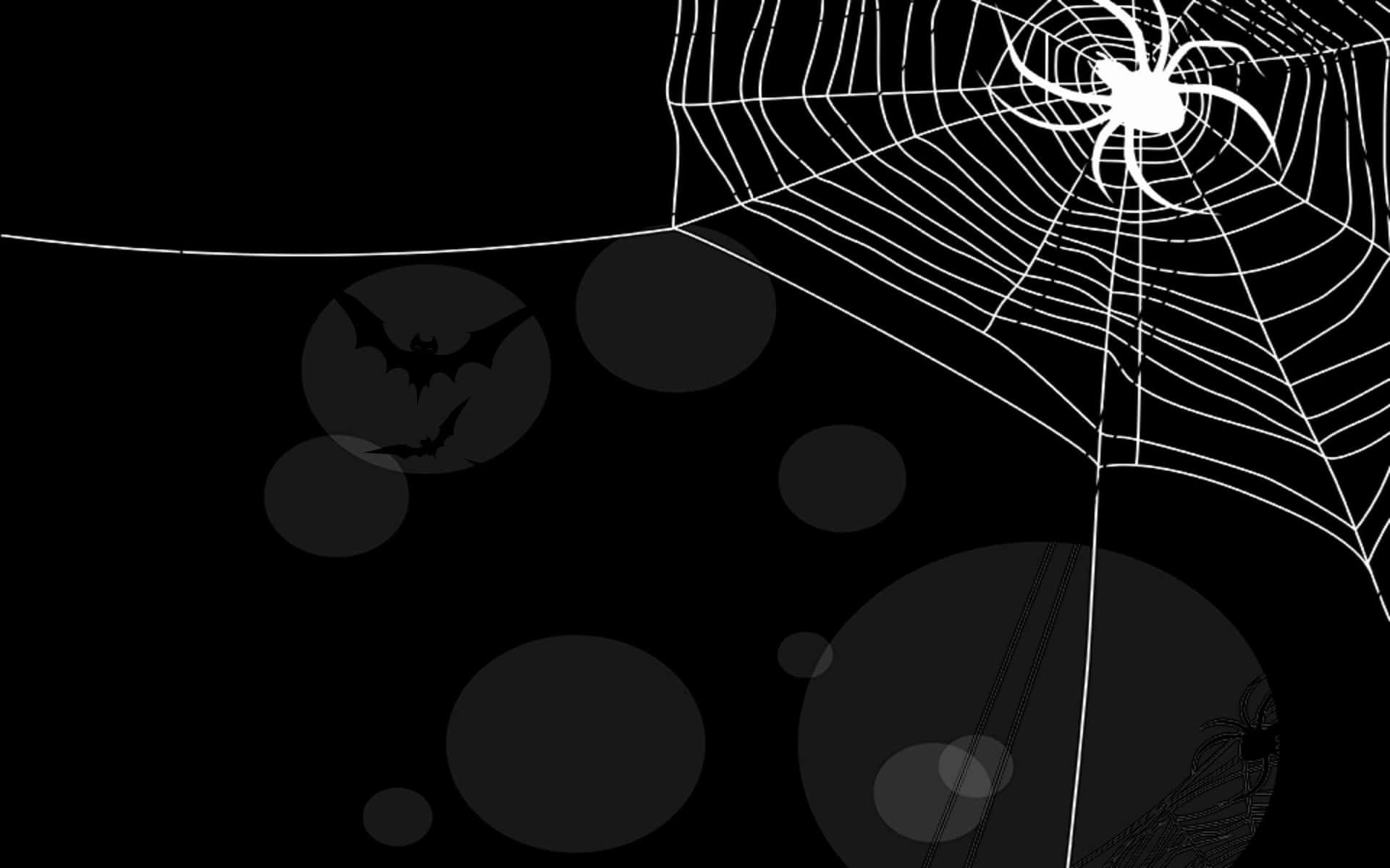 White Spider And Spider Web In Black Background