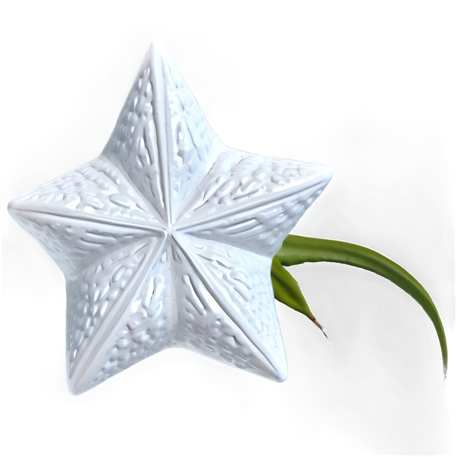 White Star For Textures Png 05042024 PNG