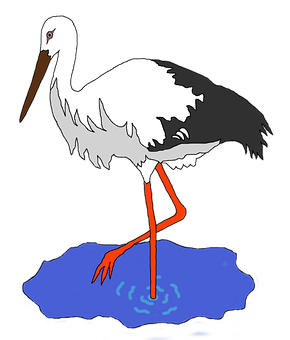 White Stork Illustration PNG