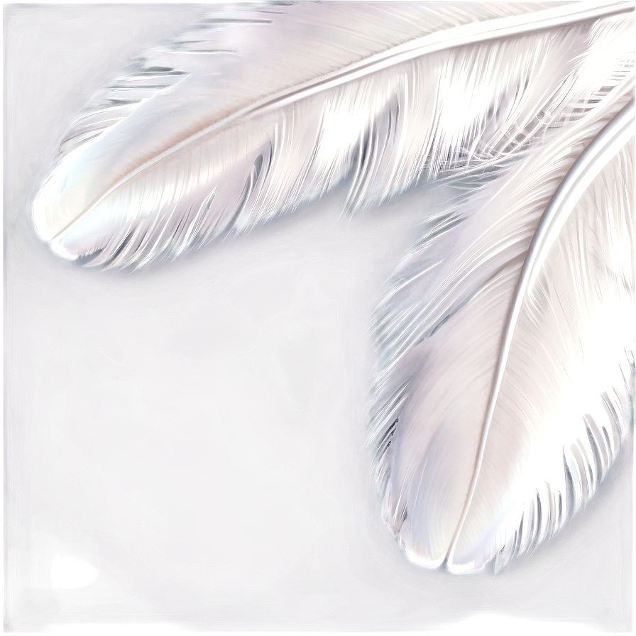 White Swan Feather Png 05042024 PNG