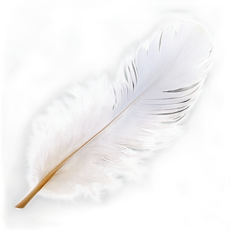 White Swan Feather Png Tlv PNG