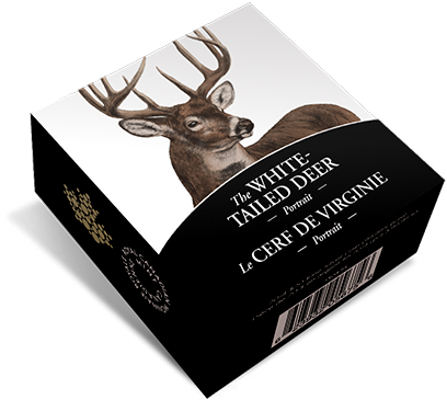 White Tailed Deer Portrait Box PNG