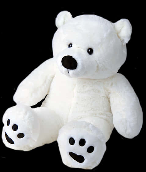 White Teddy Bear Black Background PNG