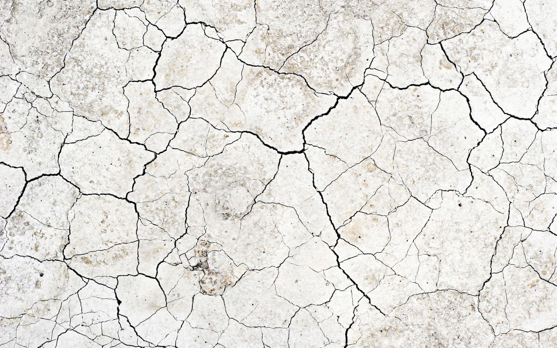 Dried Soil With Cracks White Texture Background