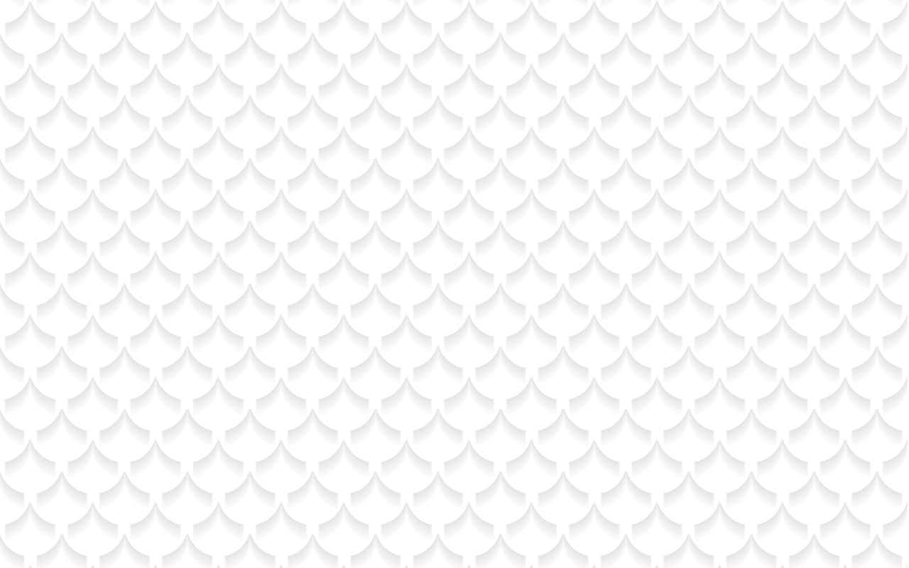 White Texture Mesh Pictures