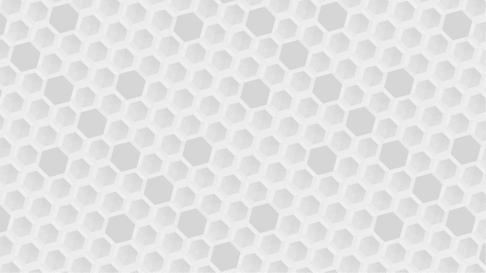 Honningkomplet hvid tekstur billedskøn Tapet