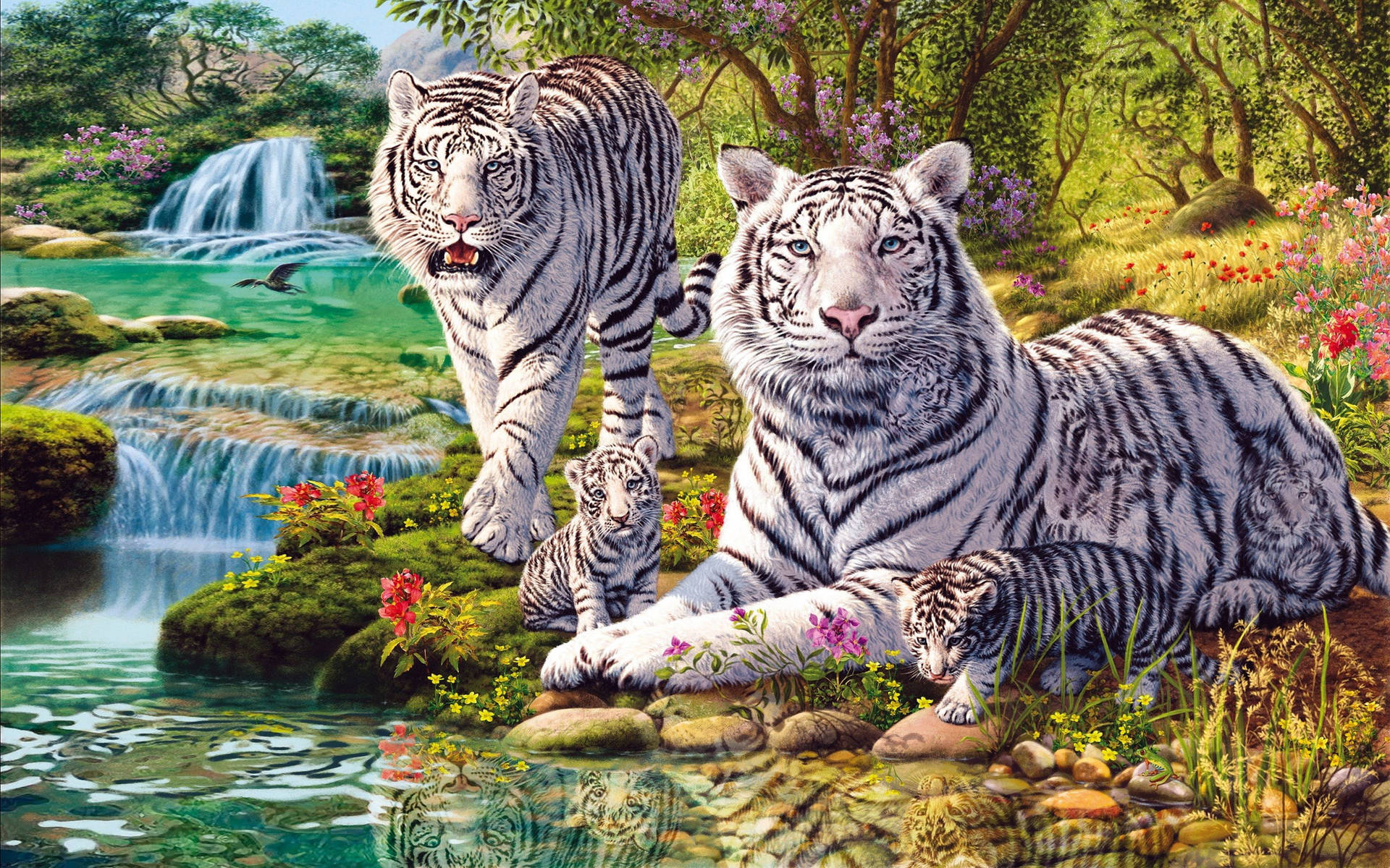 White Tiger Family