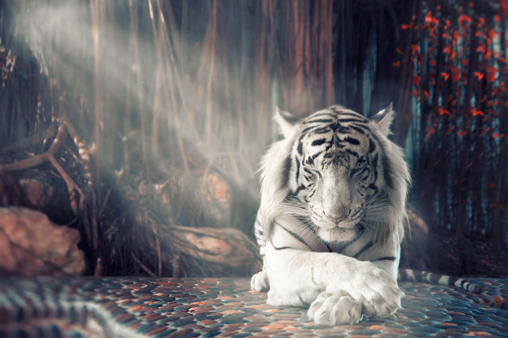 Majestic White Tiger Roams Through the Jungle