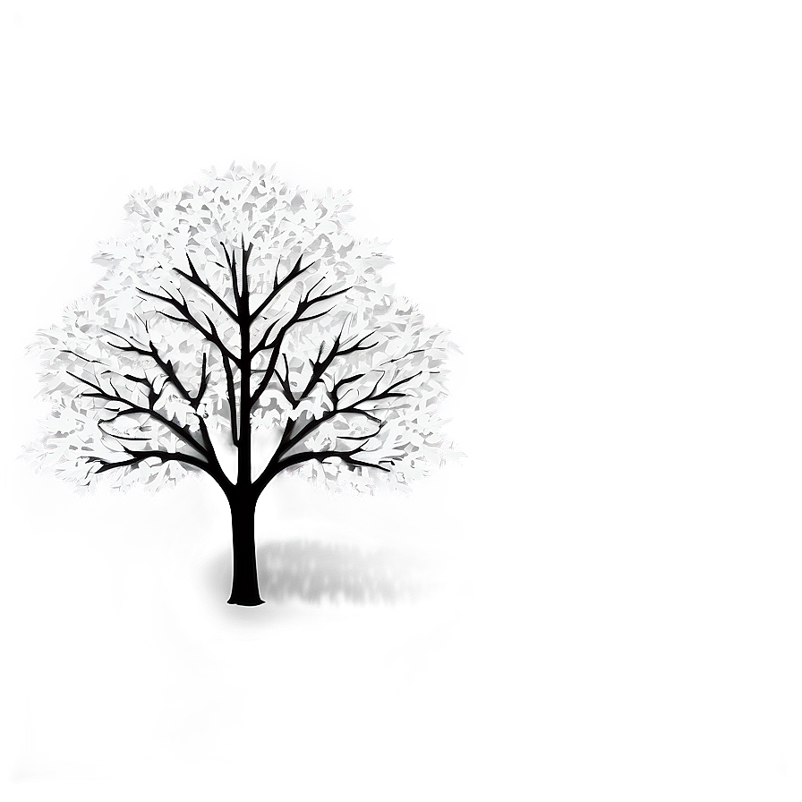 White Tree Canopy Overhead Png 06252024 PNG