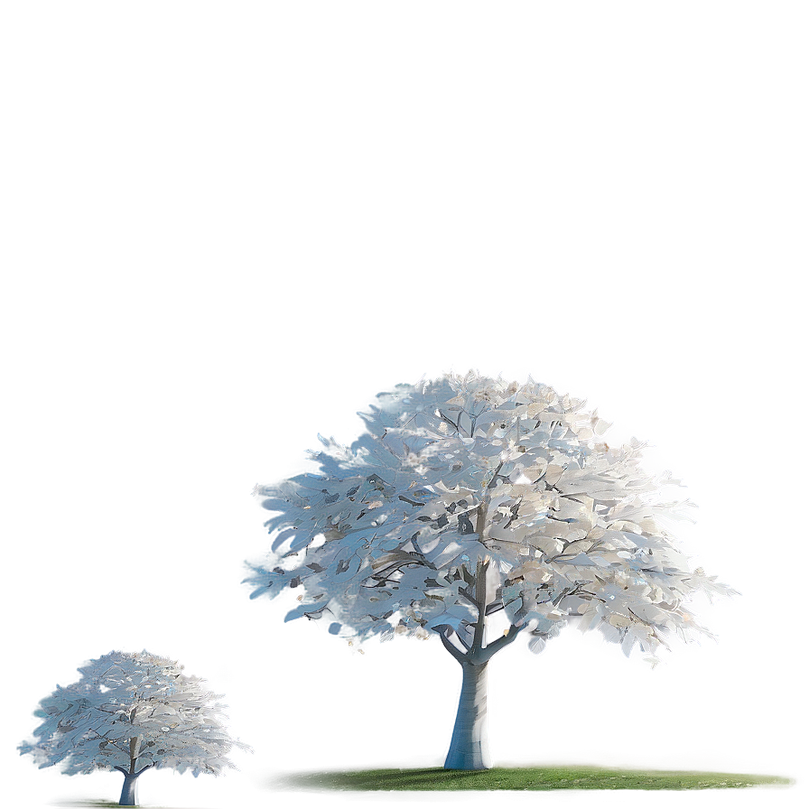 White Tree In Sunlight Glow Png Itn PNG