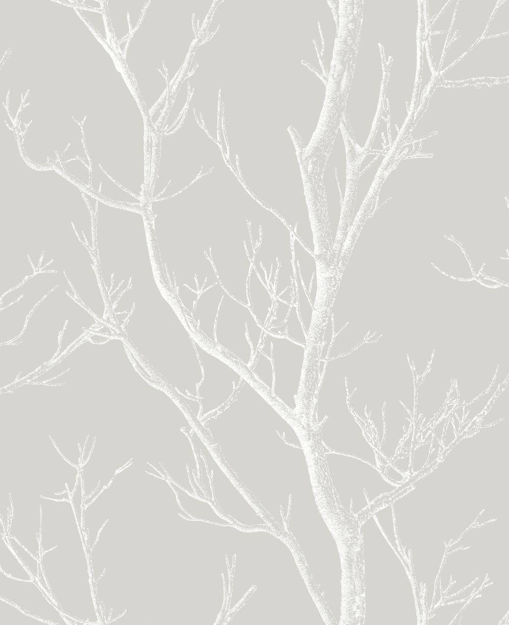 Einmajestätischer Weißer Baum Steht Stolz In Einer Grünen Wiese. Wallpaper