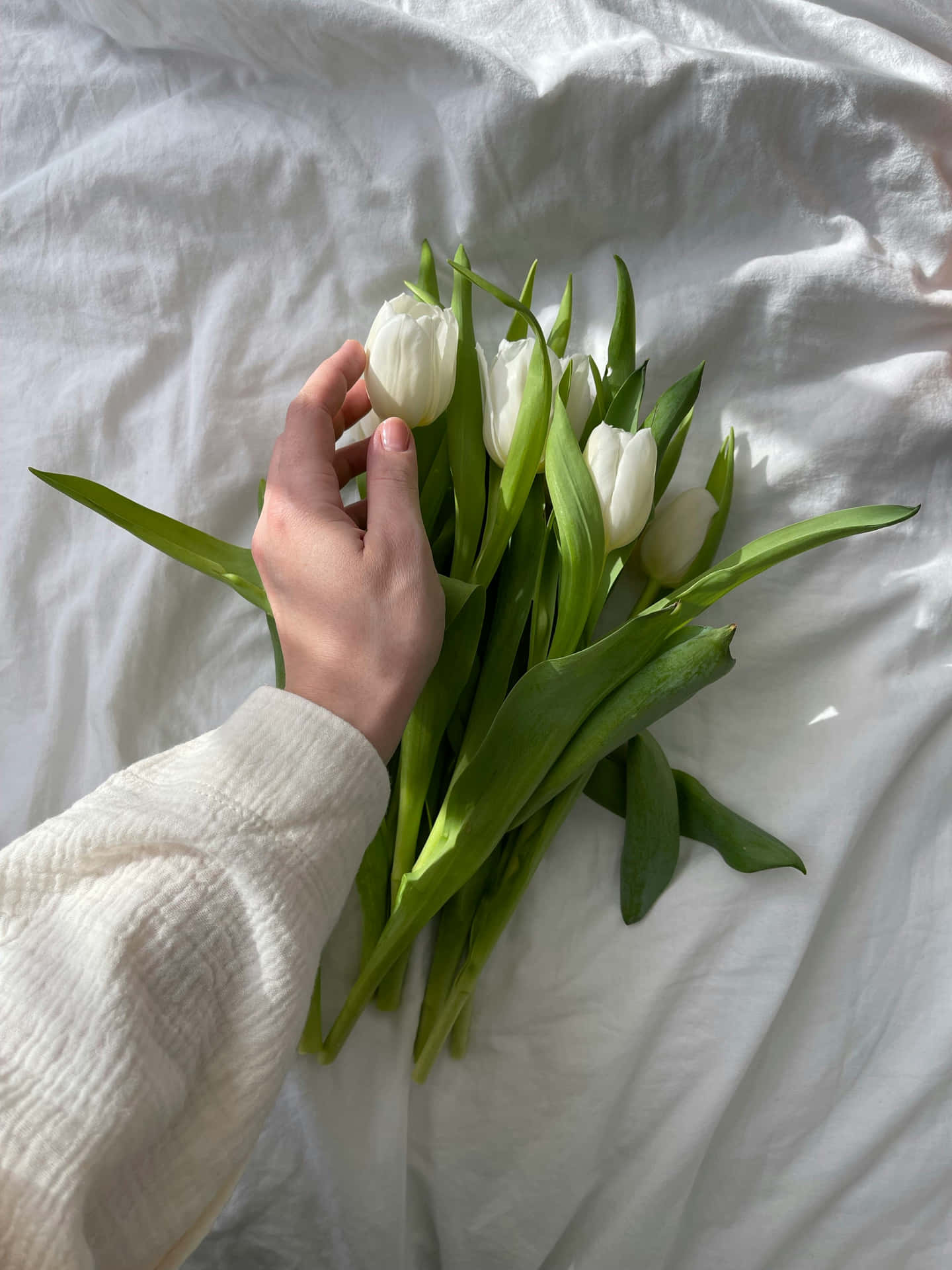 White Tulips Hand Bed Linen Aesthetic Wallpaper