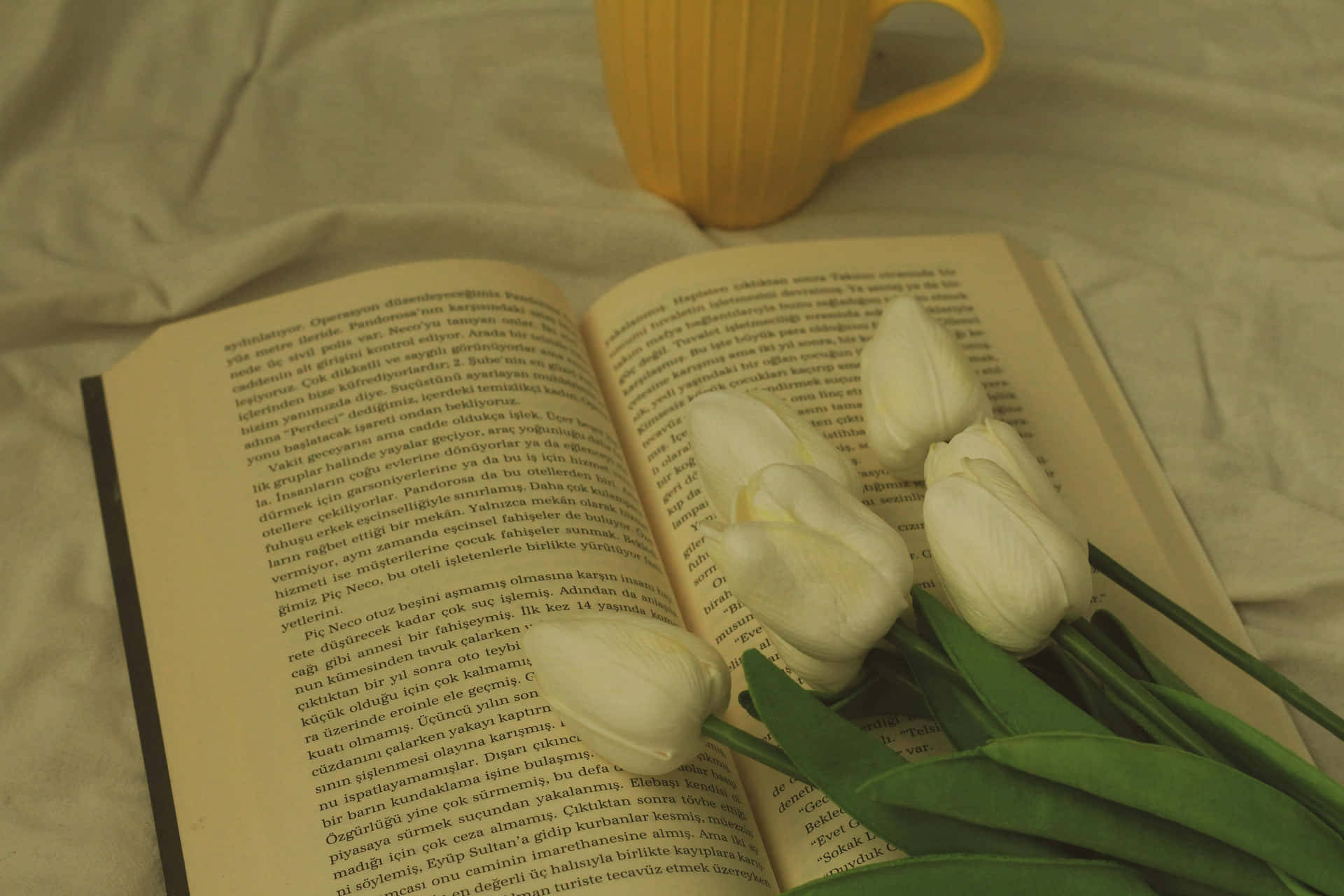 White Tulipsand Book Aesthetic Wallpaper