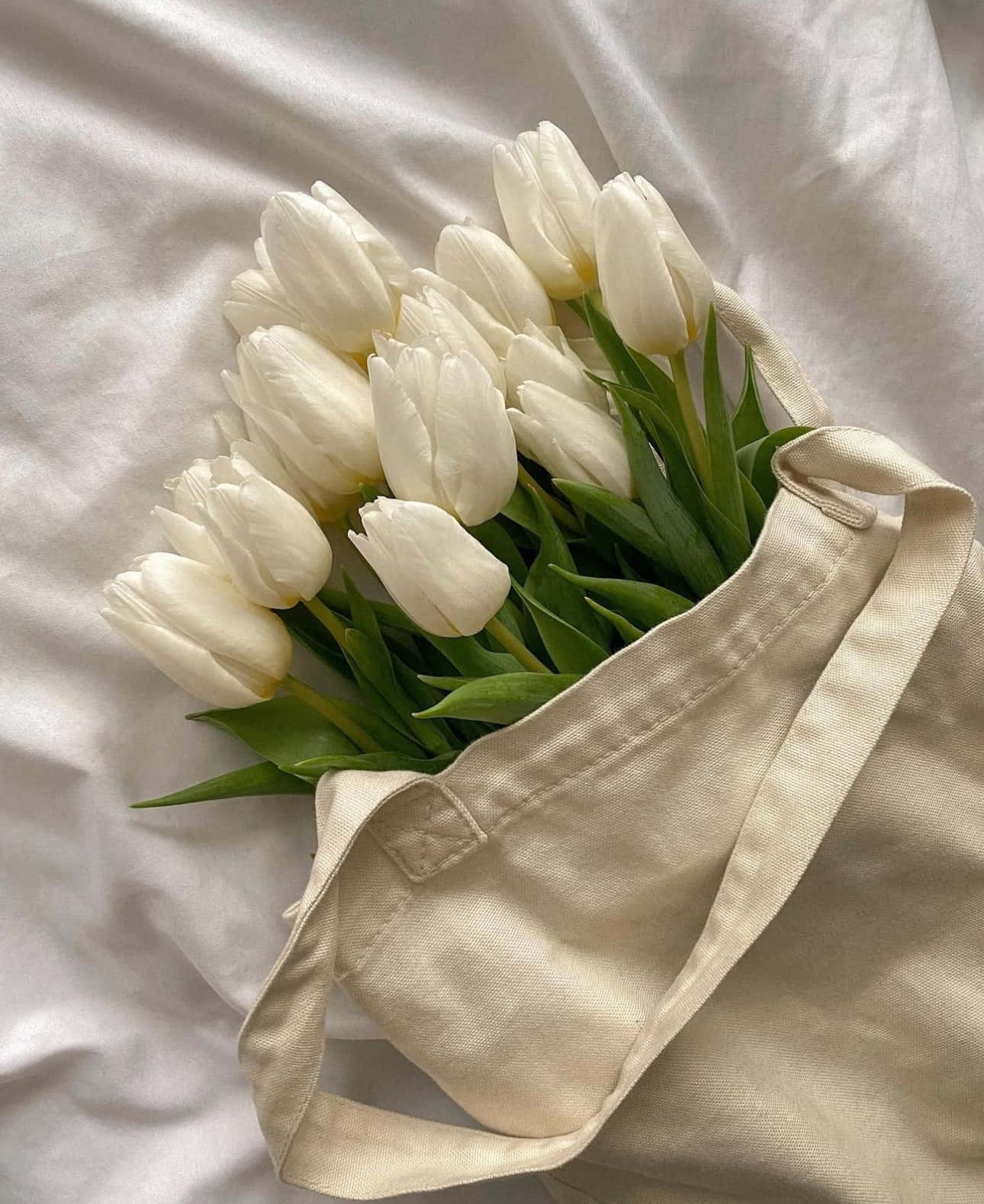 White Tulipsin Cloth Bag Wallpaper