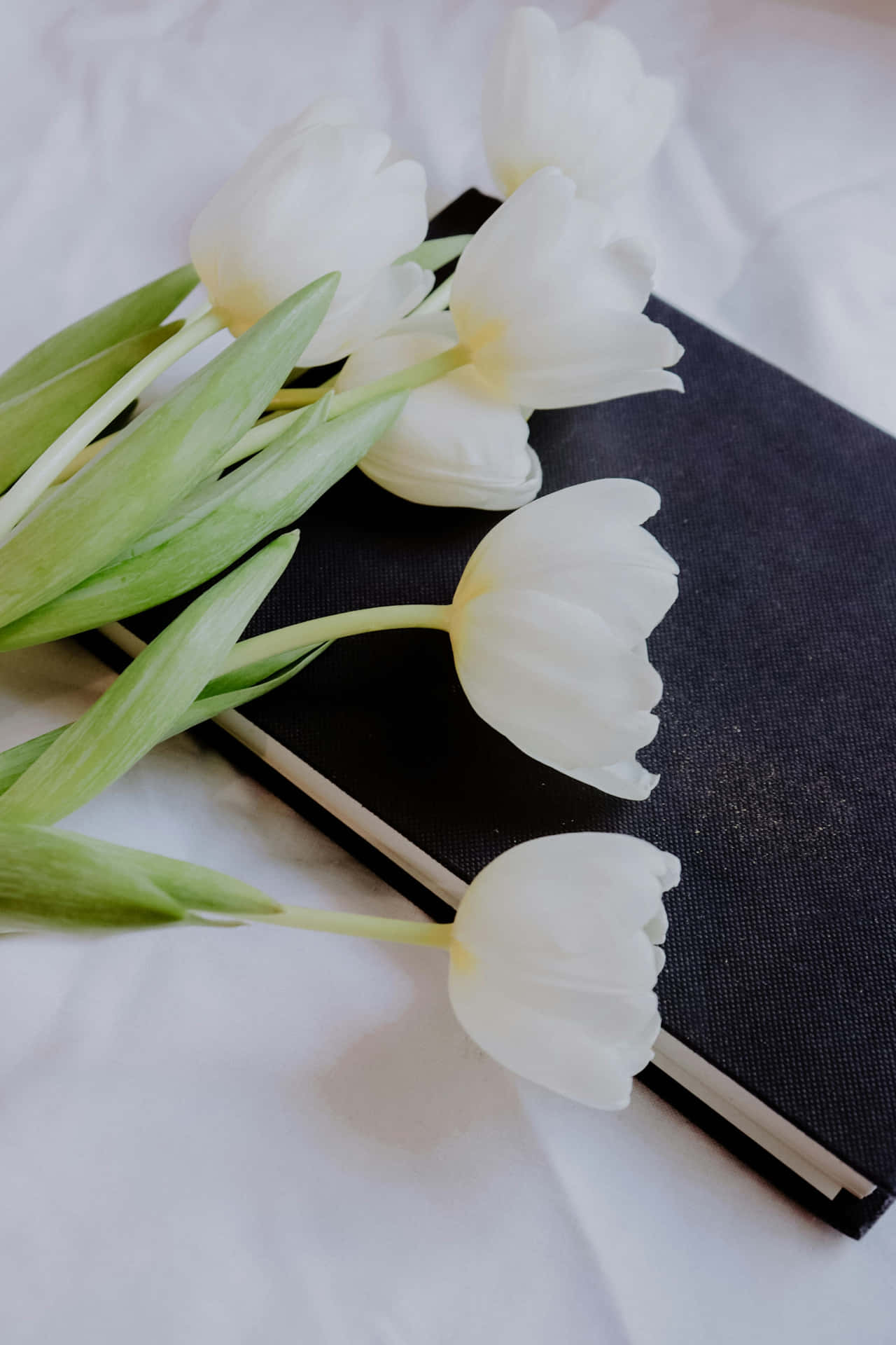 White Tulipson Black Notebook Wallpaper