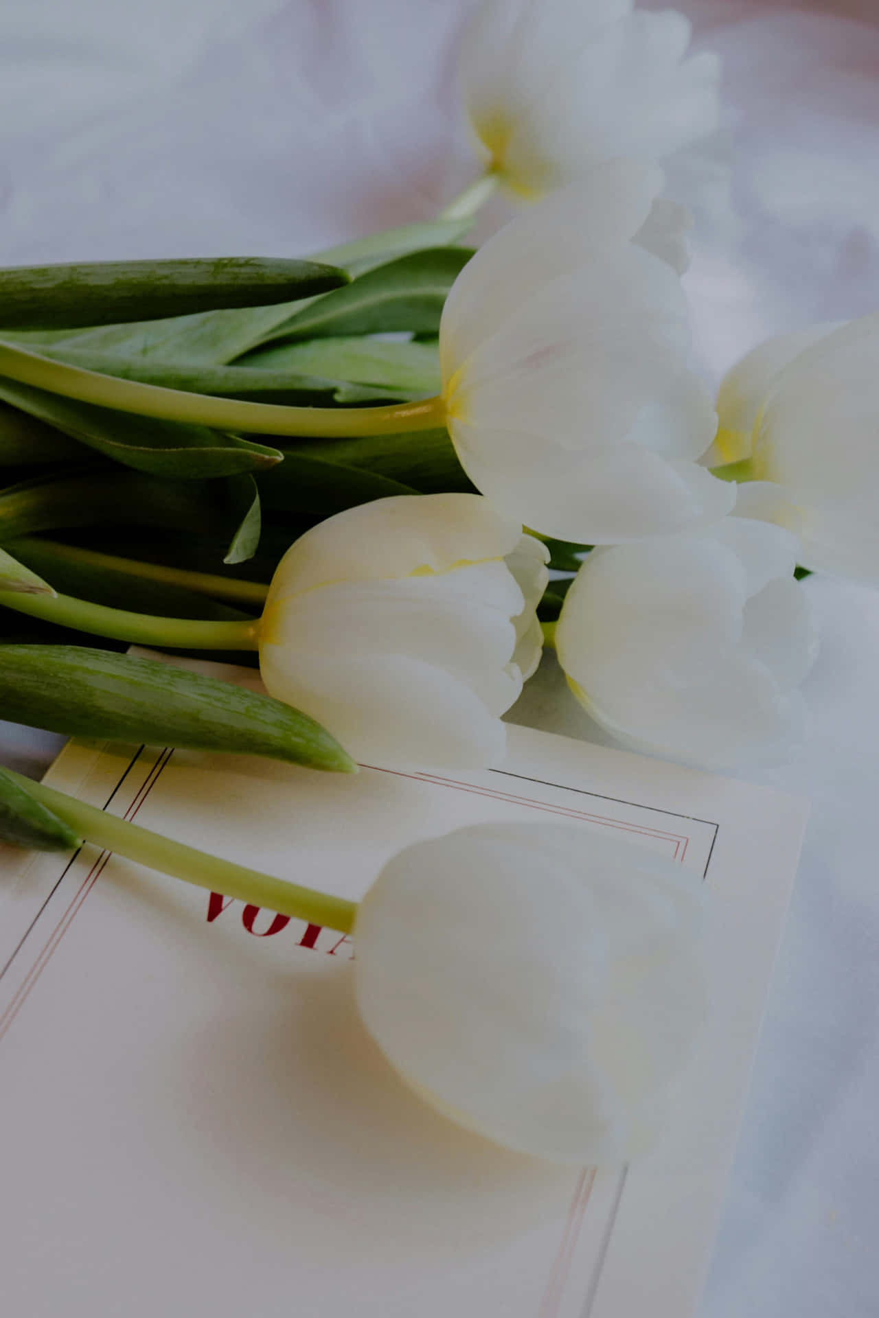 White Tulipson Book Aesthetic.jpg Wallpaper