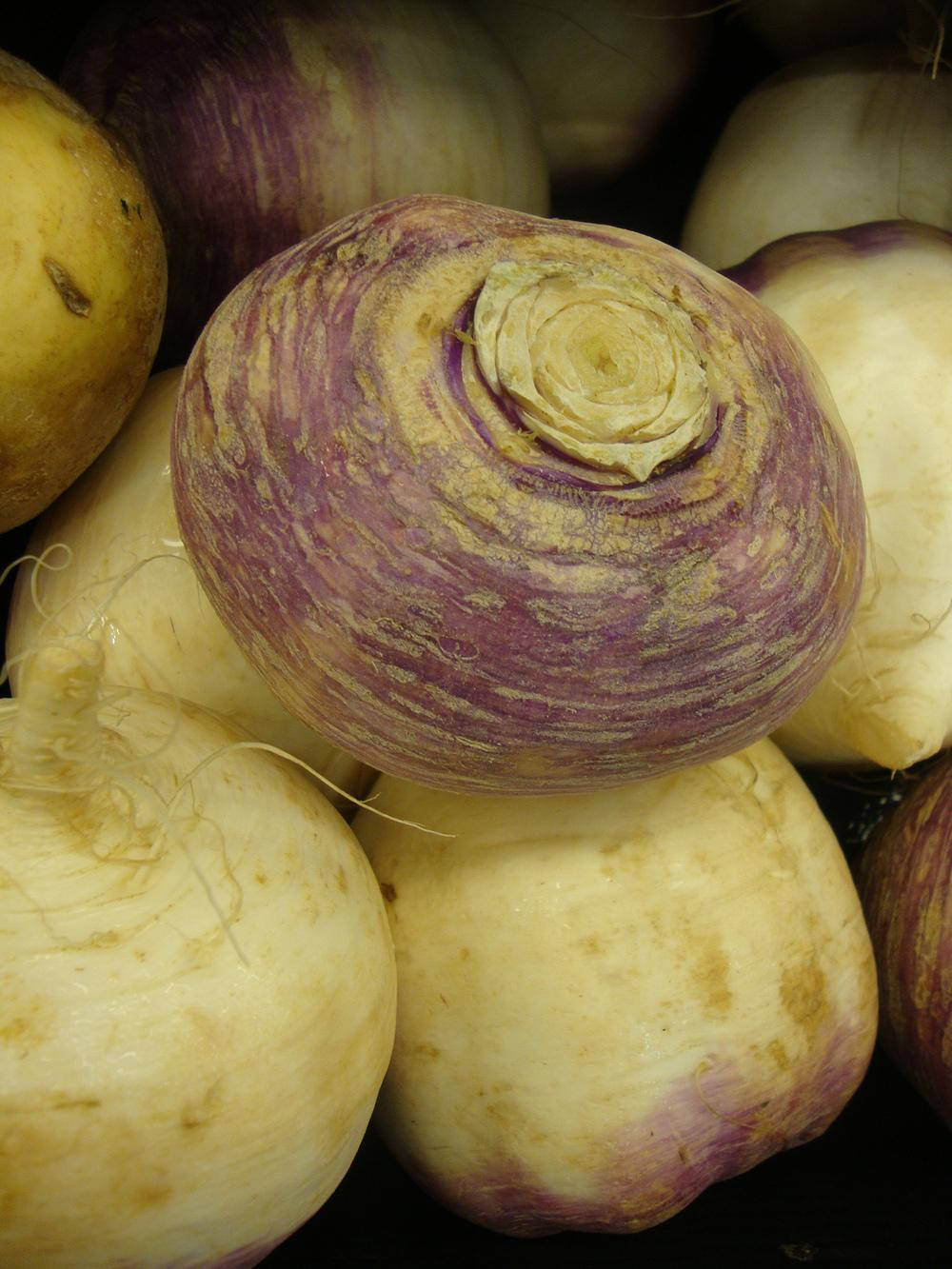 Fresh White Turnip Vegetable Wallpaper