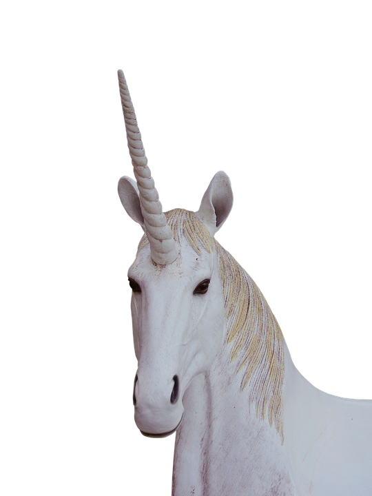 White Unicorn Statue.png PNG