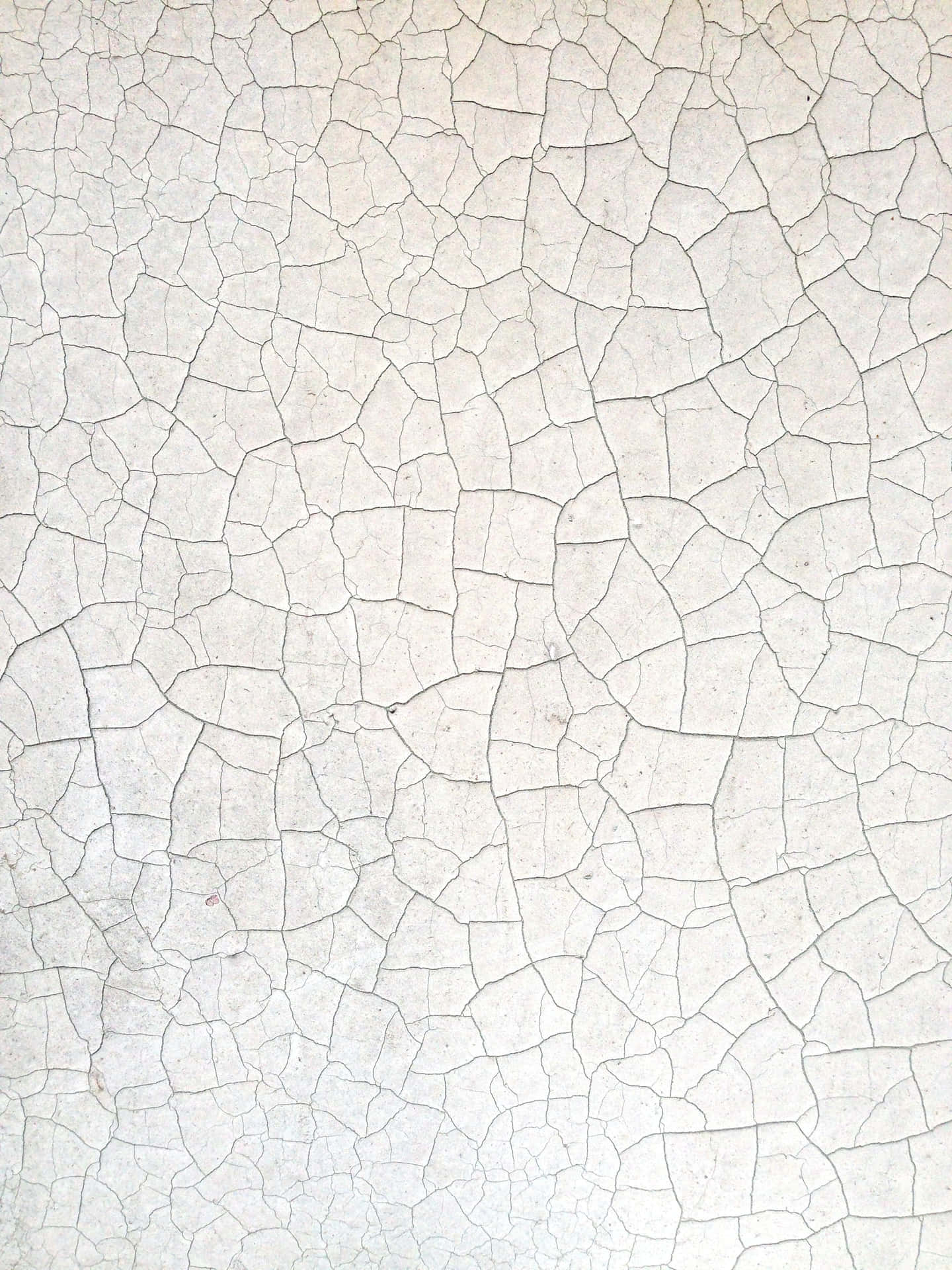 Elegant Minimalist White Wall Background