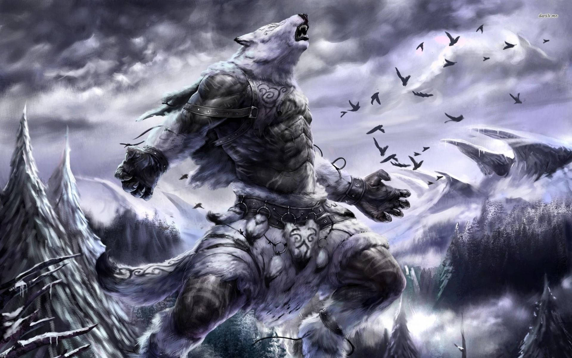 A white werewolf sitting in the snow Wallpaper