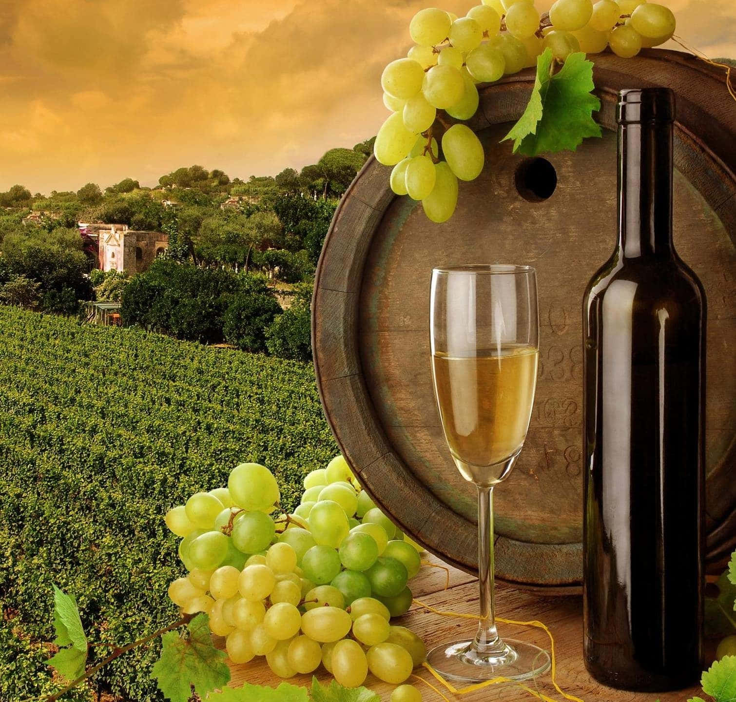 White Wine In Vineyard Wallpaper