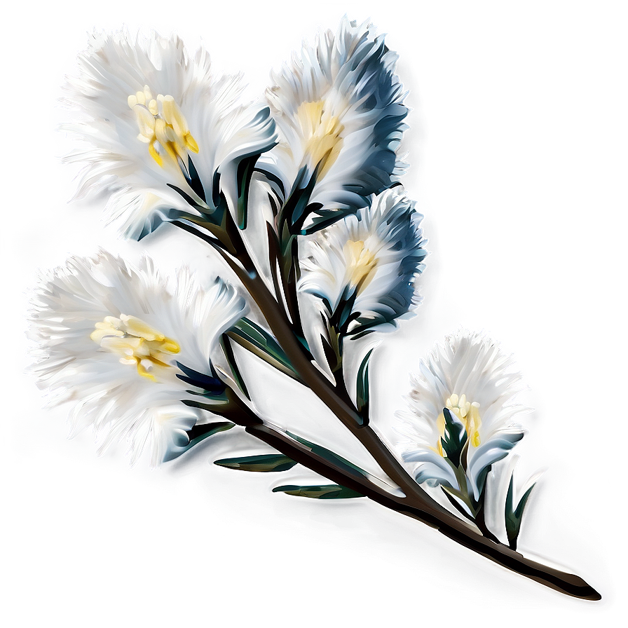 White Winter Flowers Png Sii87 PNG