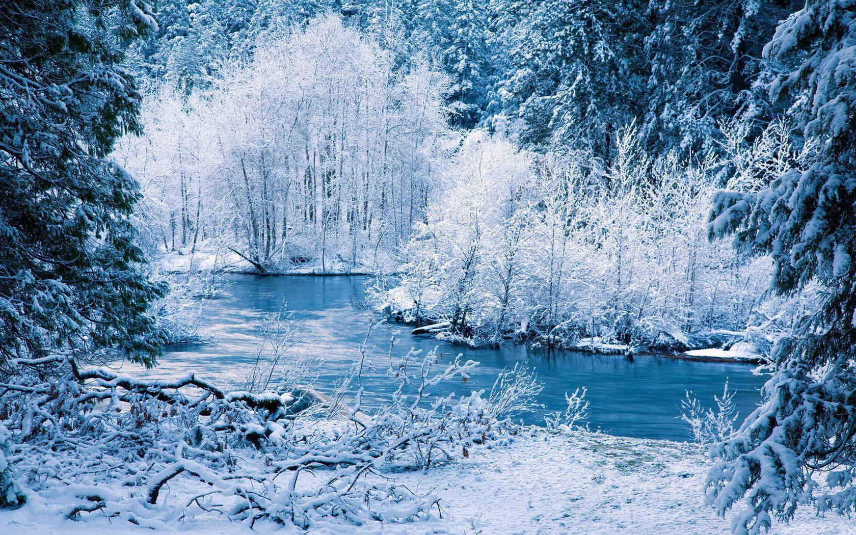 White Winter Riverside
