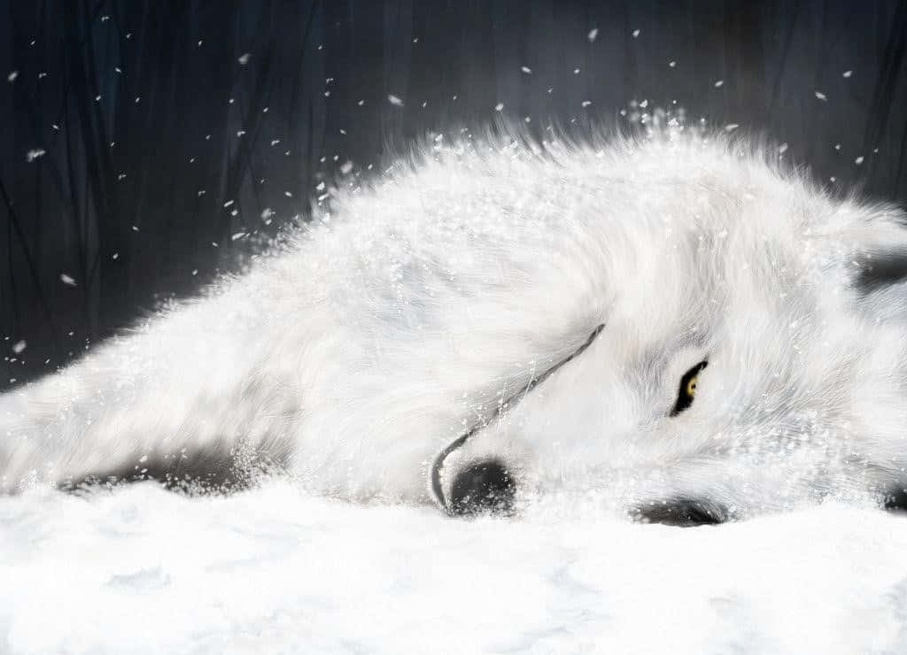 Majestic White Wolf in Snowy Landscape Wallpaper
