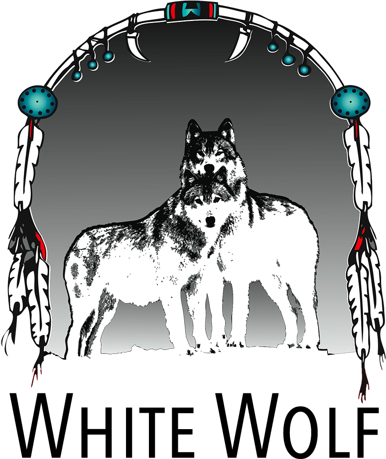 White Wolf Dreamcatcher Artwork PNG