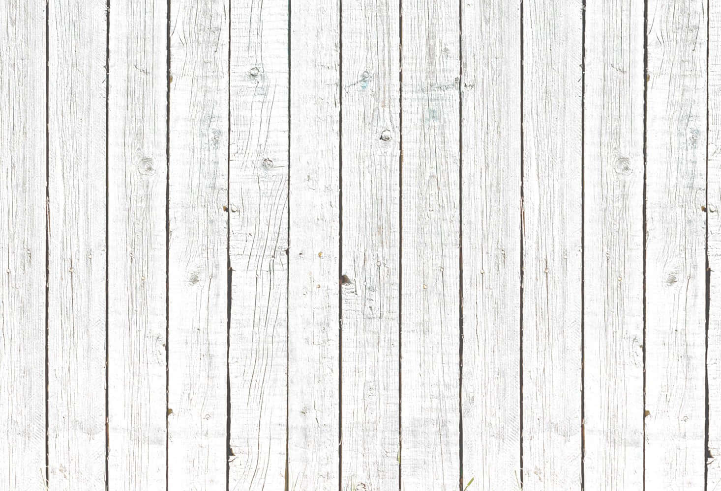 Tiny Timbers Of White Wood Background