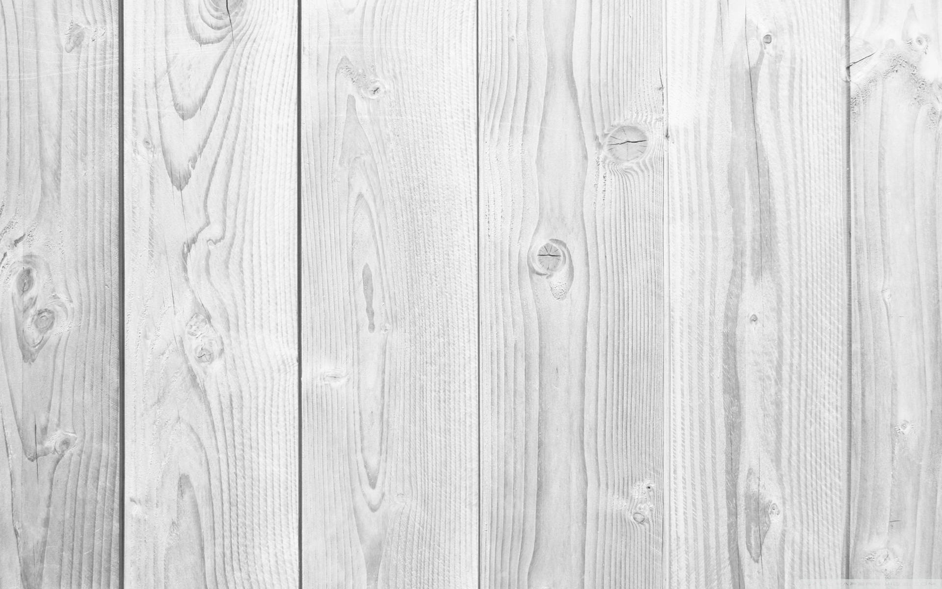 Minimalist wallpaper of wooden wall fence made using slats painted in white.