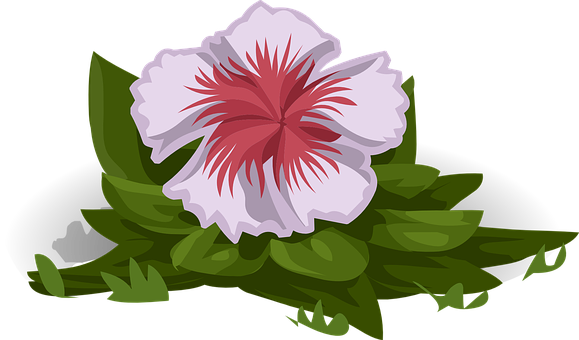 Whiteand Red Flower Illustration PNG
